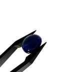 Lapis Lazuli | 10x12x5.4 mm | cab. ovaal | LE386
