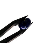 Lapis Lazuli | 10x12x5.4 mm | cab. ovaal | LE386