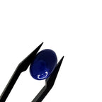 Lapis Lazuli | 10x14x5.8 mm | cab. ovaal | LE397