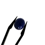 Lapis Lazuli | 10.2x12.2x6.7 mm | cab. ovaal | LE398