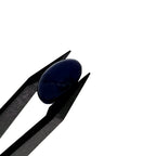 Lapis Lazuli | 10x14x4.6 mm | cab. ovaal | LE399