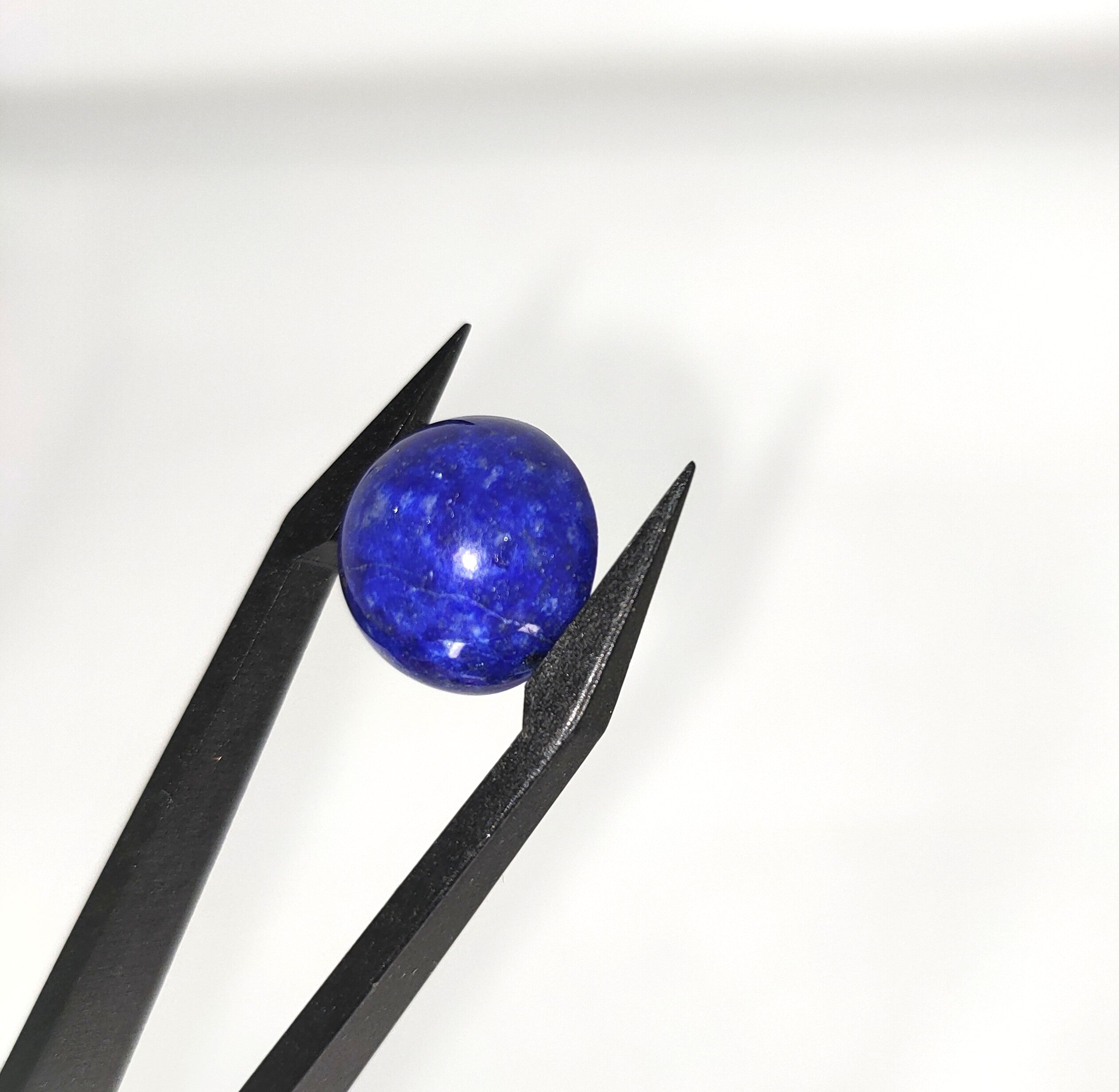 Lapis Lazuli | 14x7.2 mm | cab. rond | LE391