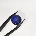 Lapis Lazuli | 14x7.1 mm | cab. rond | LE392