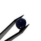 Lapis Lazuli | 14x7.1 mm | cab. rond | LE392