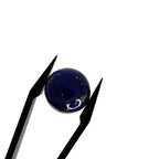 Lapis Lazuli | 14x7.1 mm | cab. rond | LE394