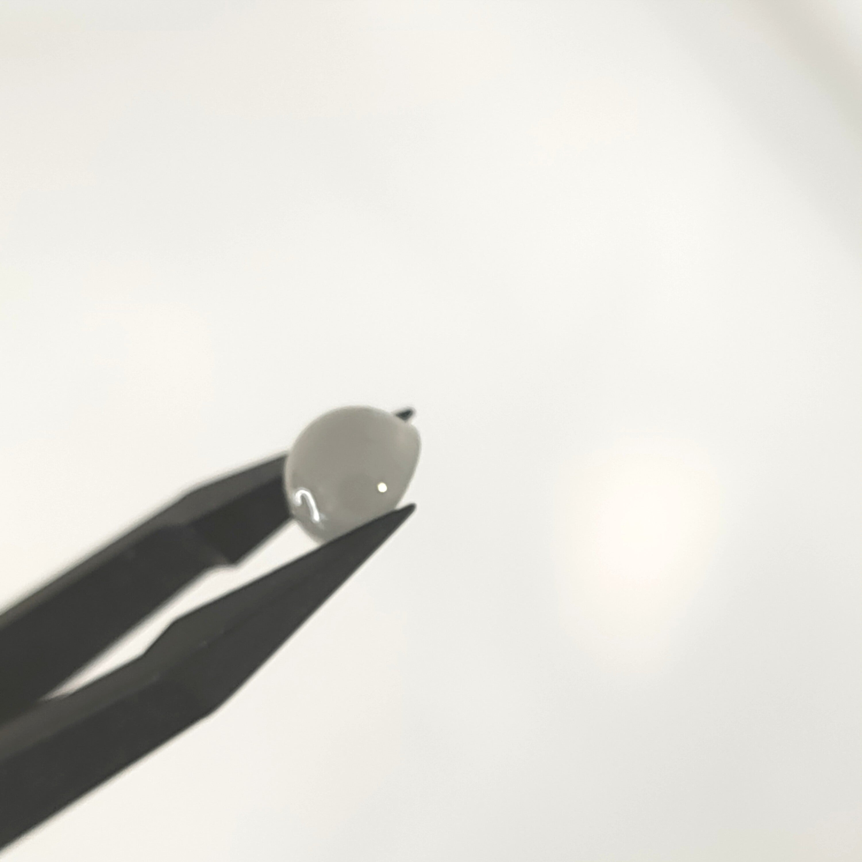 Maansteen 7.2x4.6mm | cab. rond  | LE299