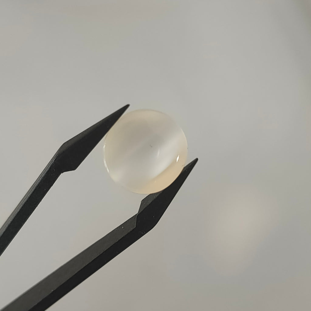 Maansteen 12x7.6mm | cab. rond | LE303