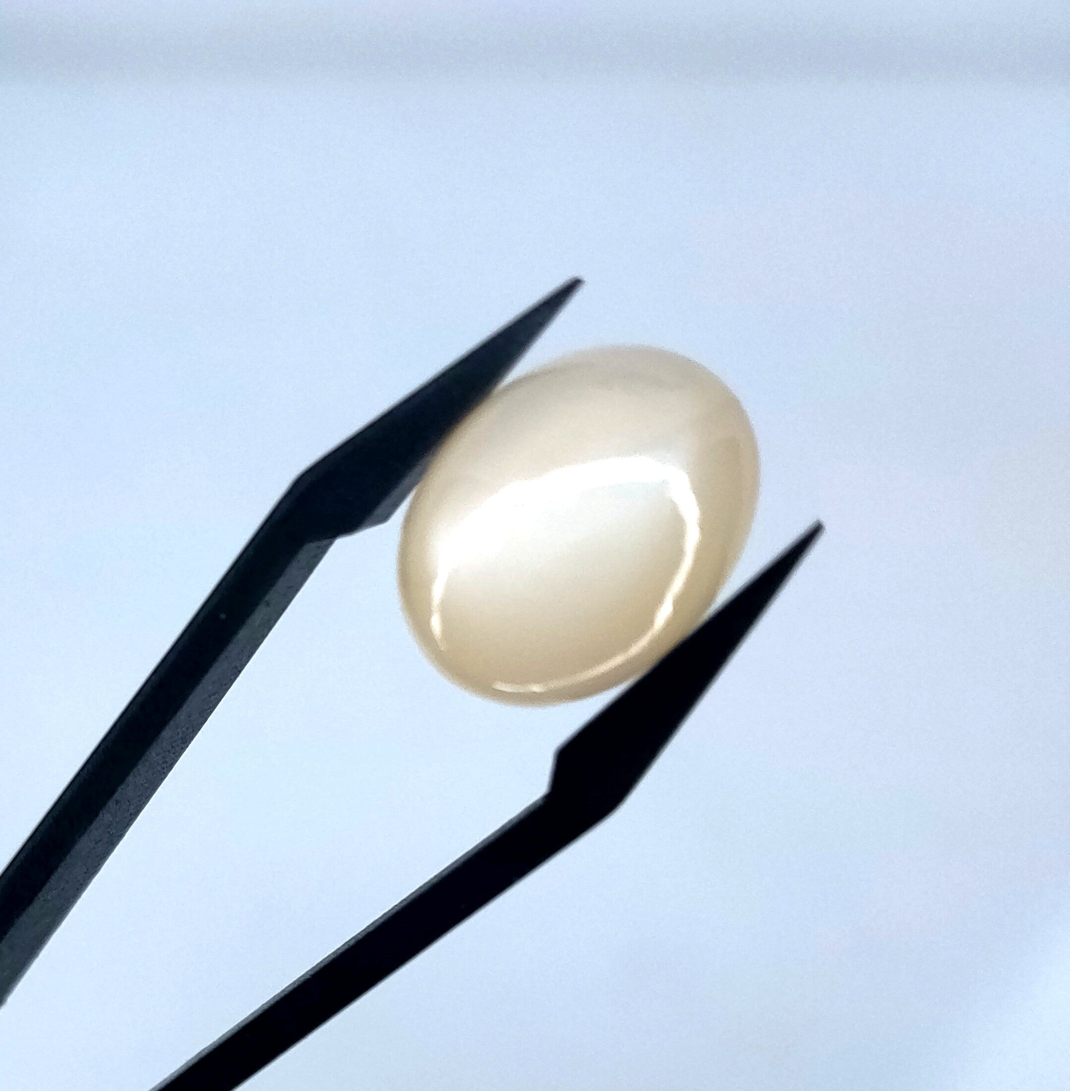 Maansteen 12.1x15.8x6.2mm | cab. ovaal  | LE310