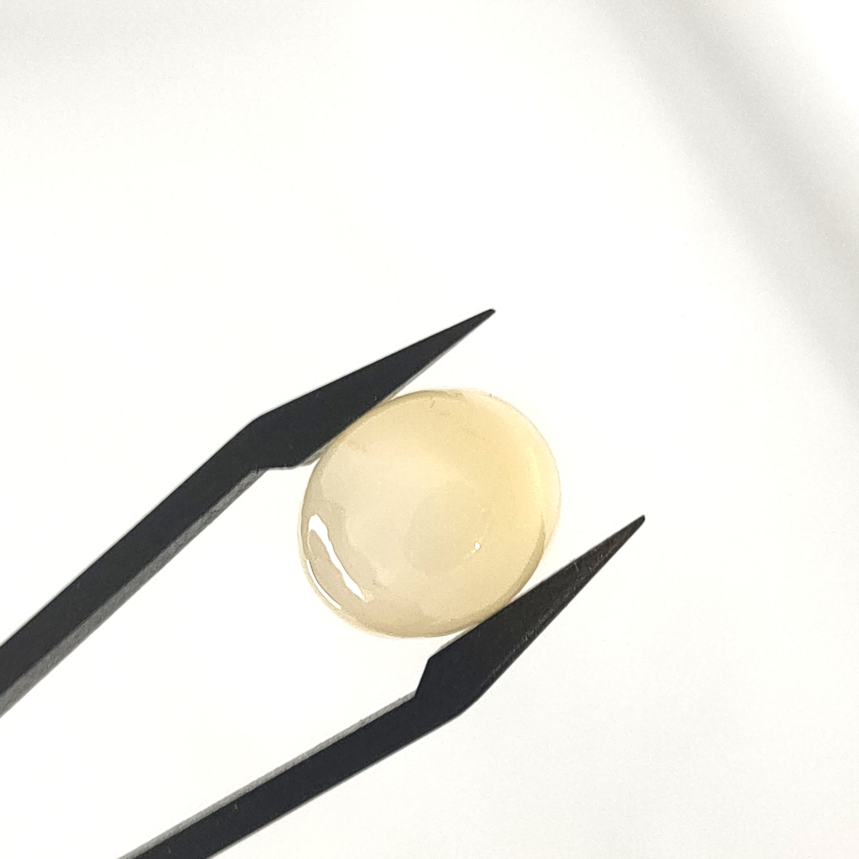 Maansteen 12.2x14.1 X7.9mm | cab. ovaal  | LE316