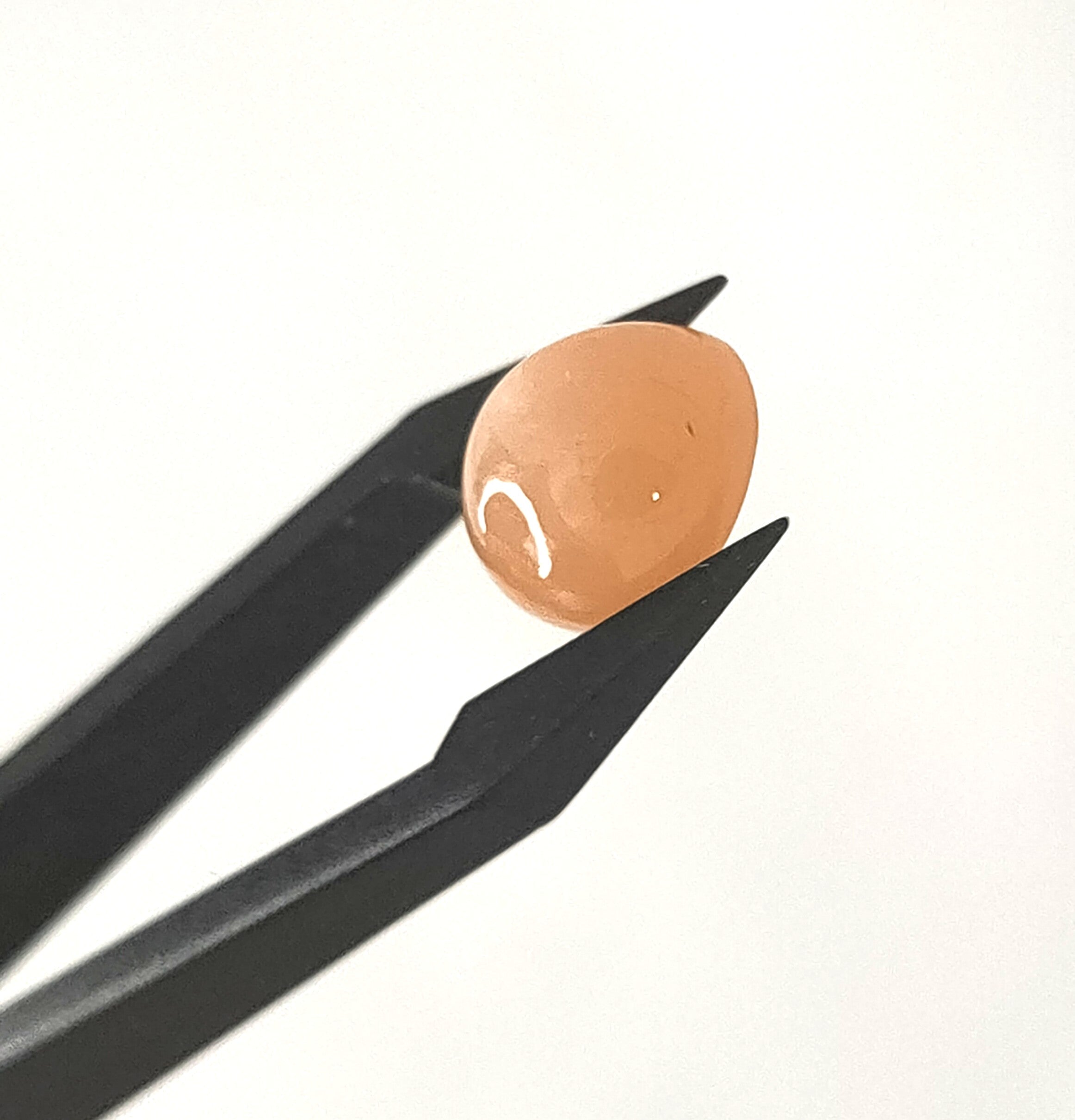 Maansteen 11.3x9.3x6.6mm | cab. ovaal  | LE317