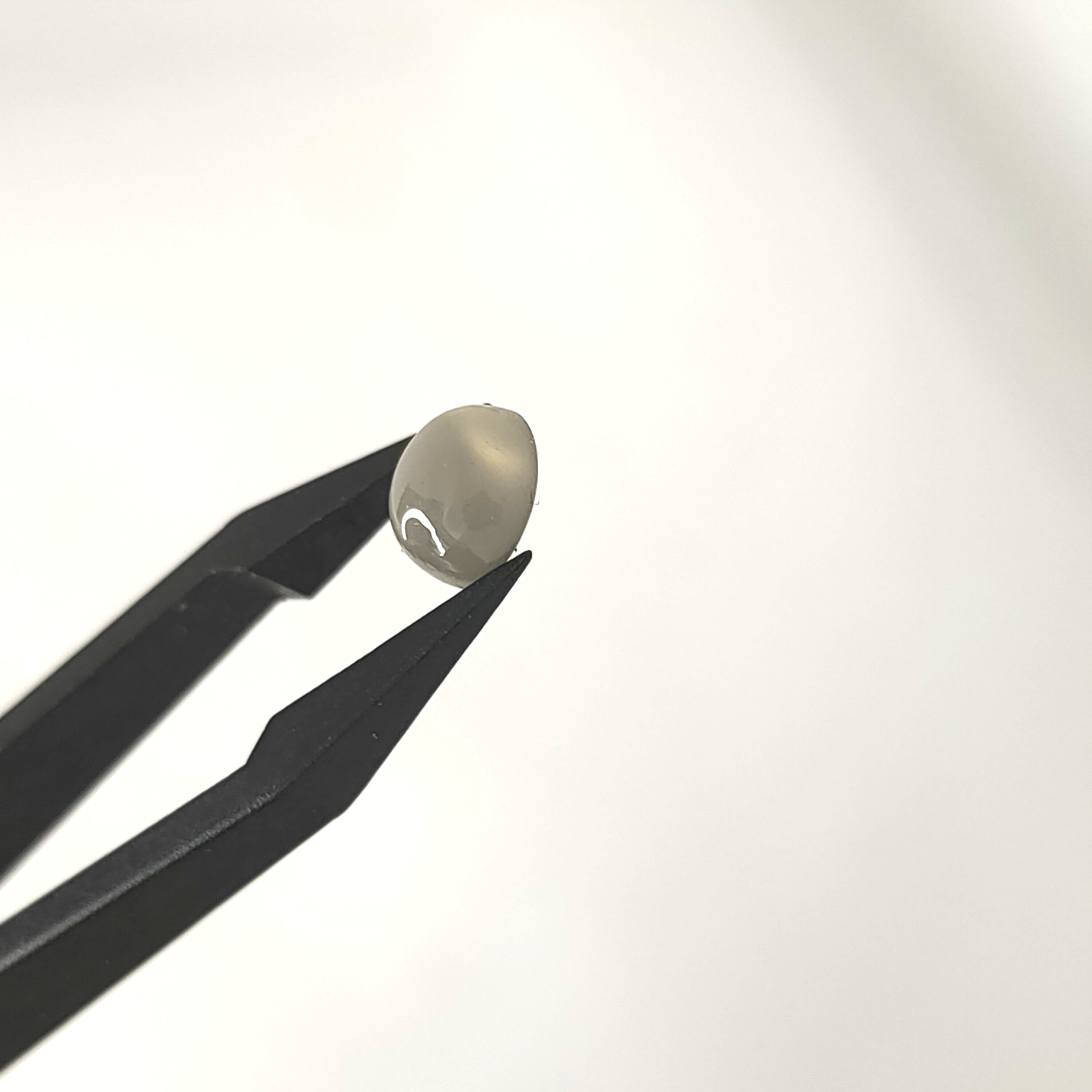 Maansteen 7.3X4.1 mm | cab. rond  | LE307