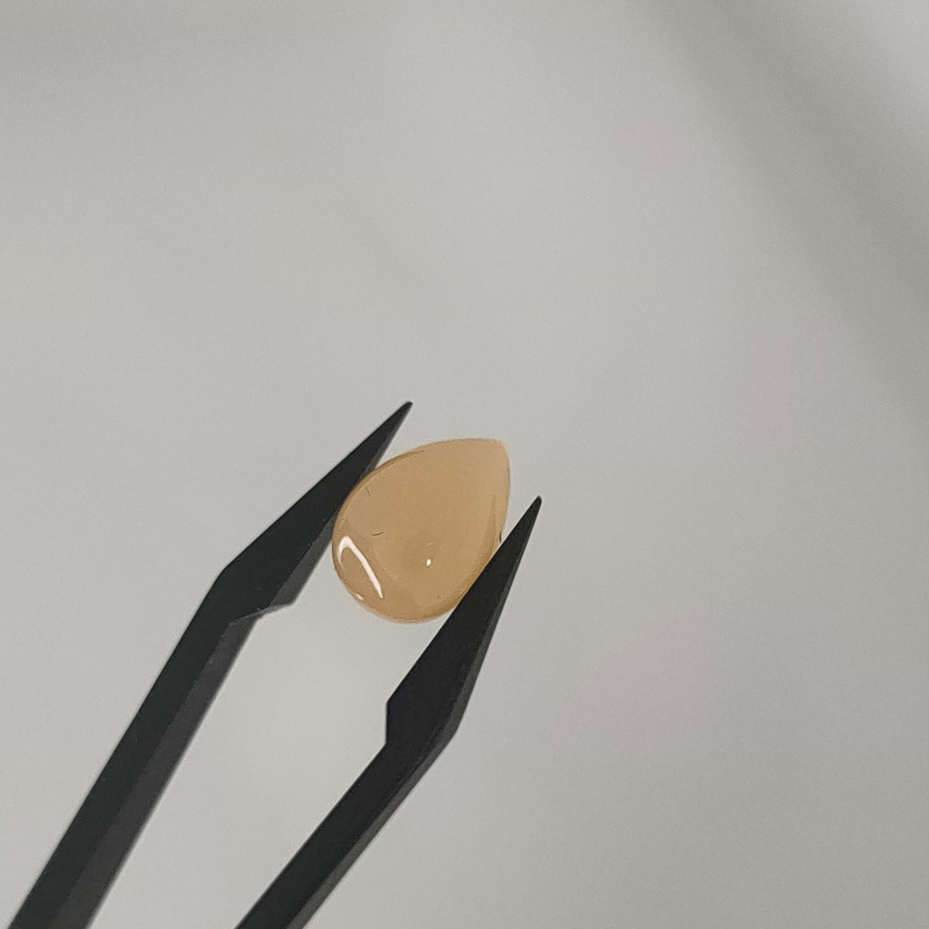 Maansteen 8.2x11.4x5.4mm | cab. druppel  | LE323