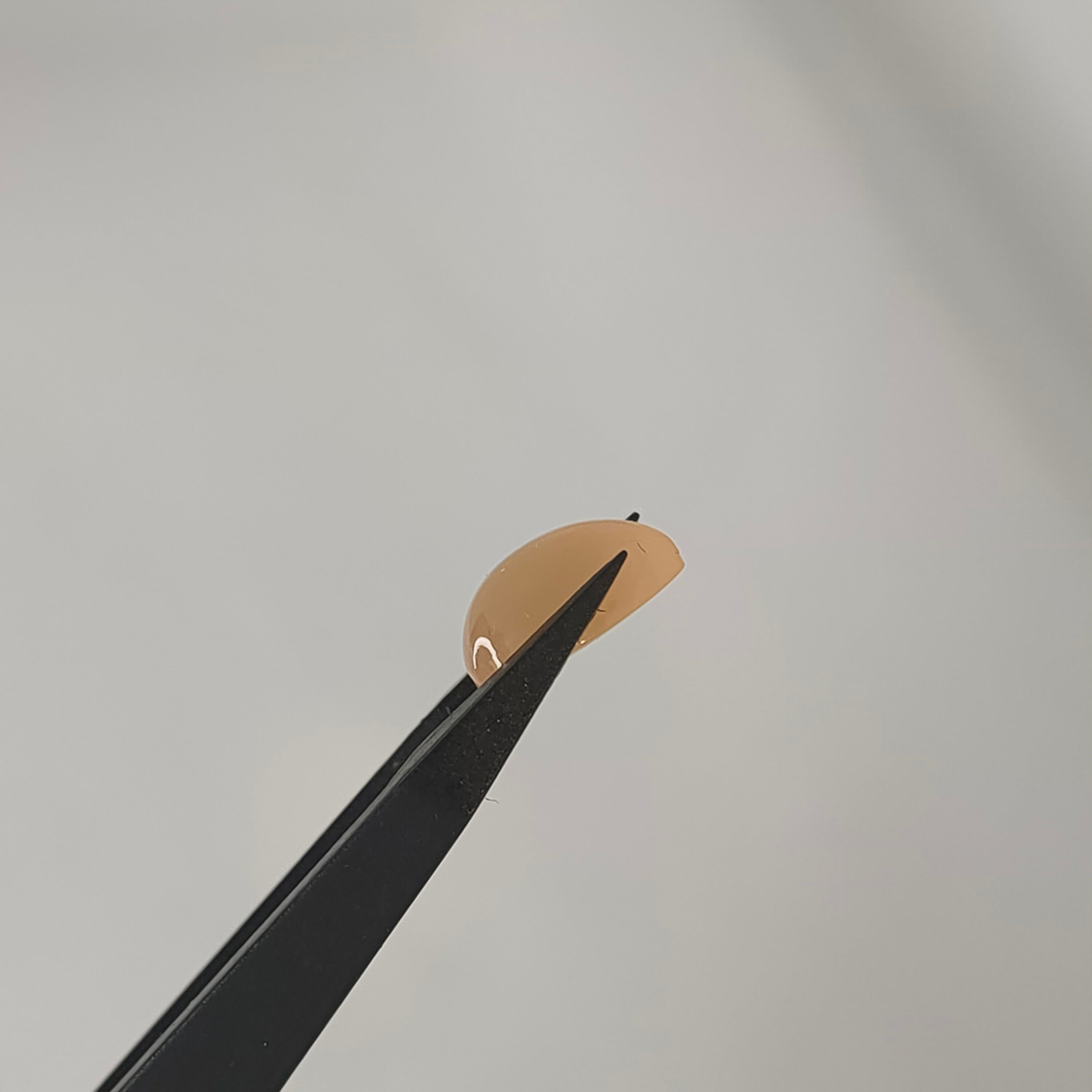 Maansteen 8.2x11.4x5.4mm | cab. druppel  | LE323