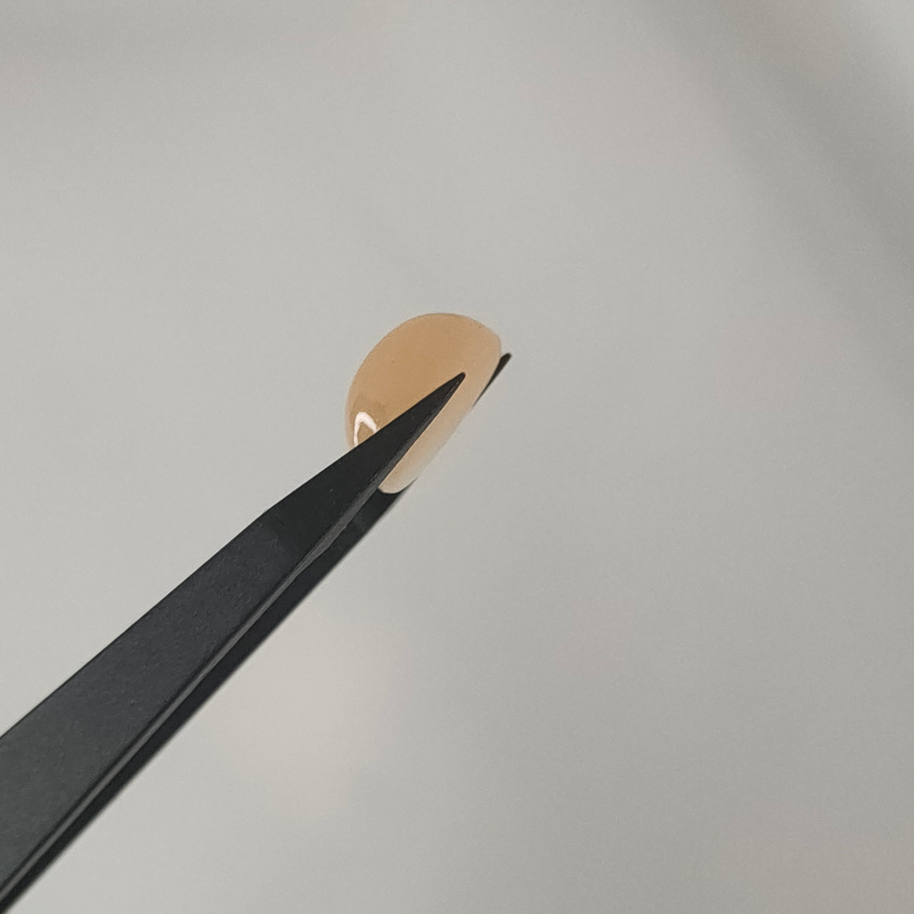 Maansteen 9.5x11.3x6.3mm | cab. ovaal  | LE325