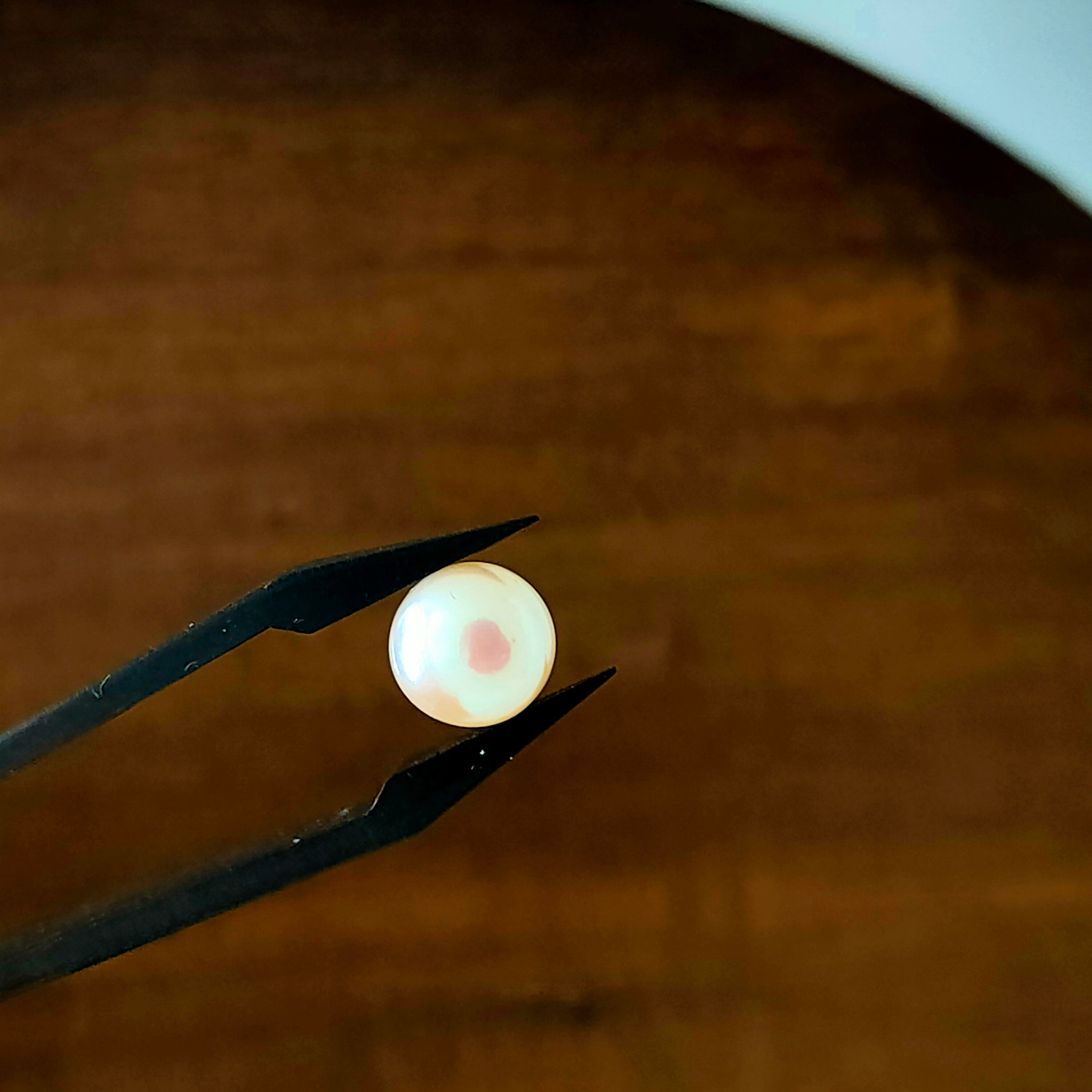 Parel 8.5*5.7 mm | rond | LE355