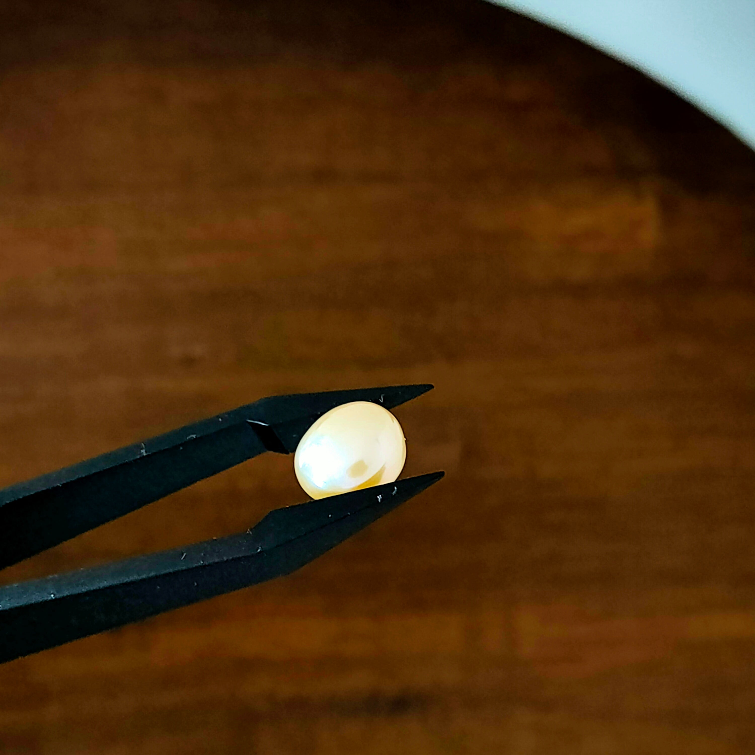 Parel 9*5.6 mm | rond | LE356