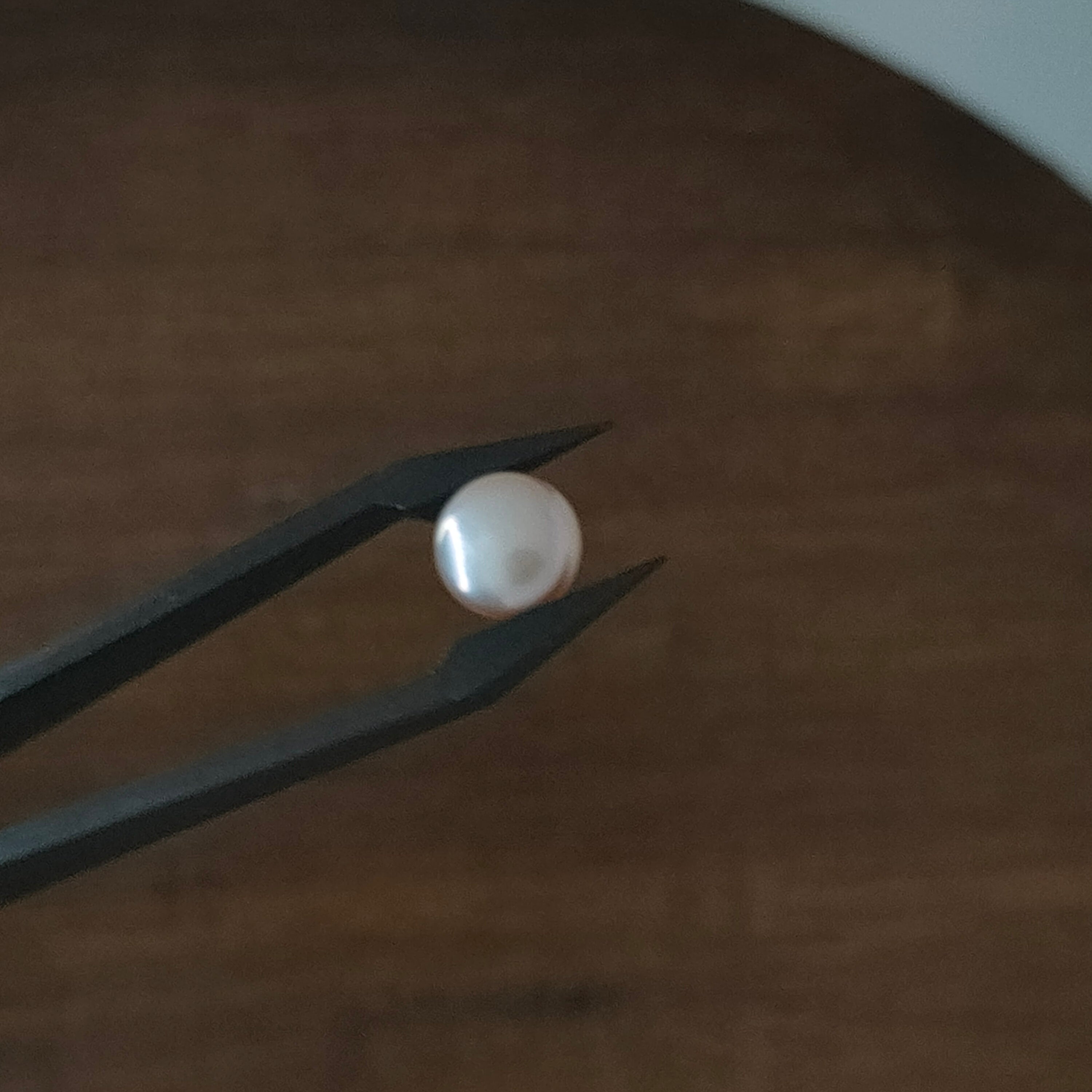 Parels 8.5*5.8 mm | rond | LE358