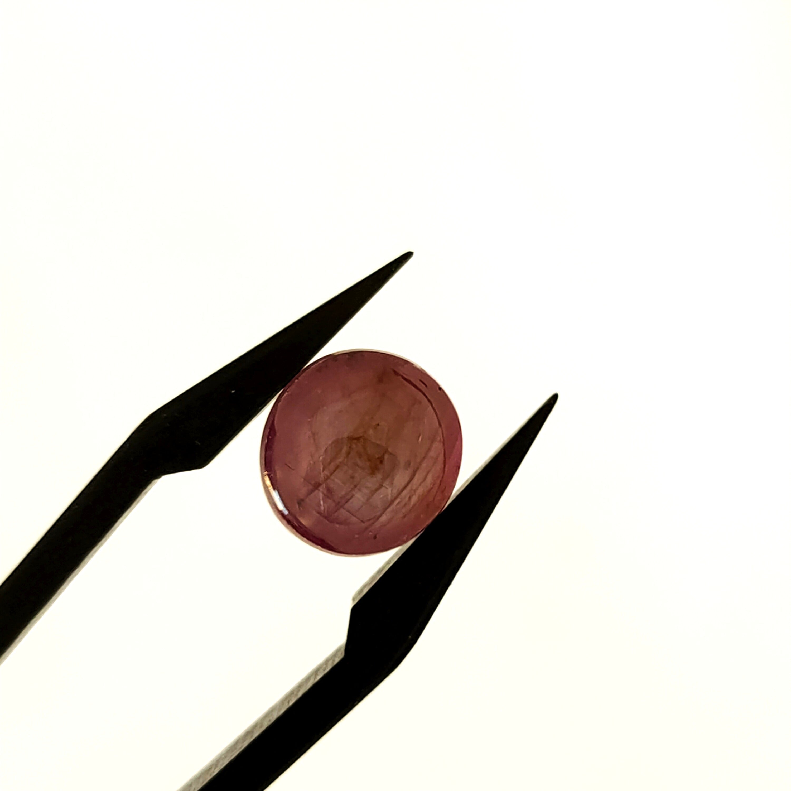 Robijn 9*5.4 | cab. rond| LE255