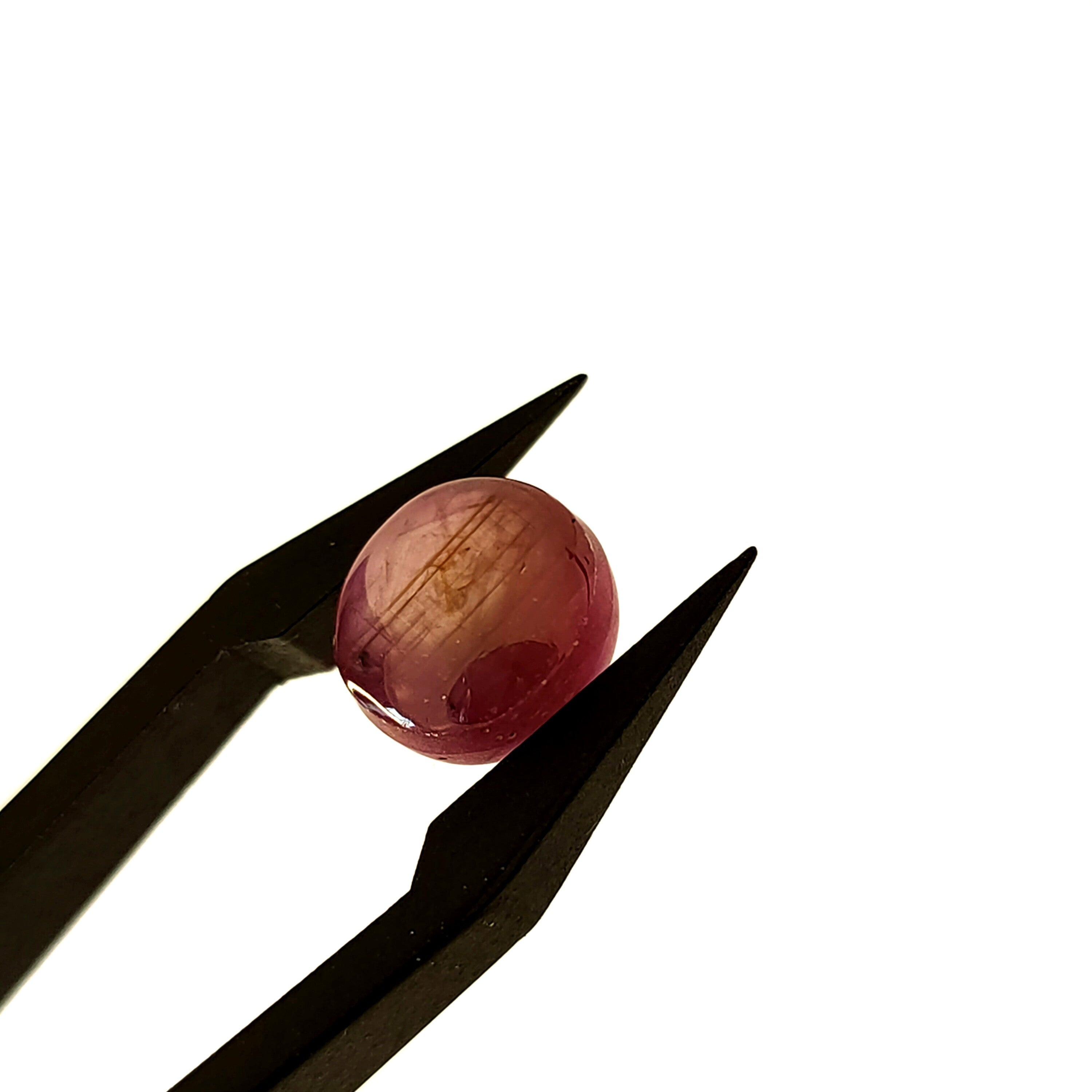 Robijn 9*5.4 | cab. rond| LE255