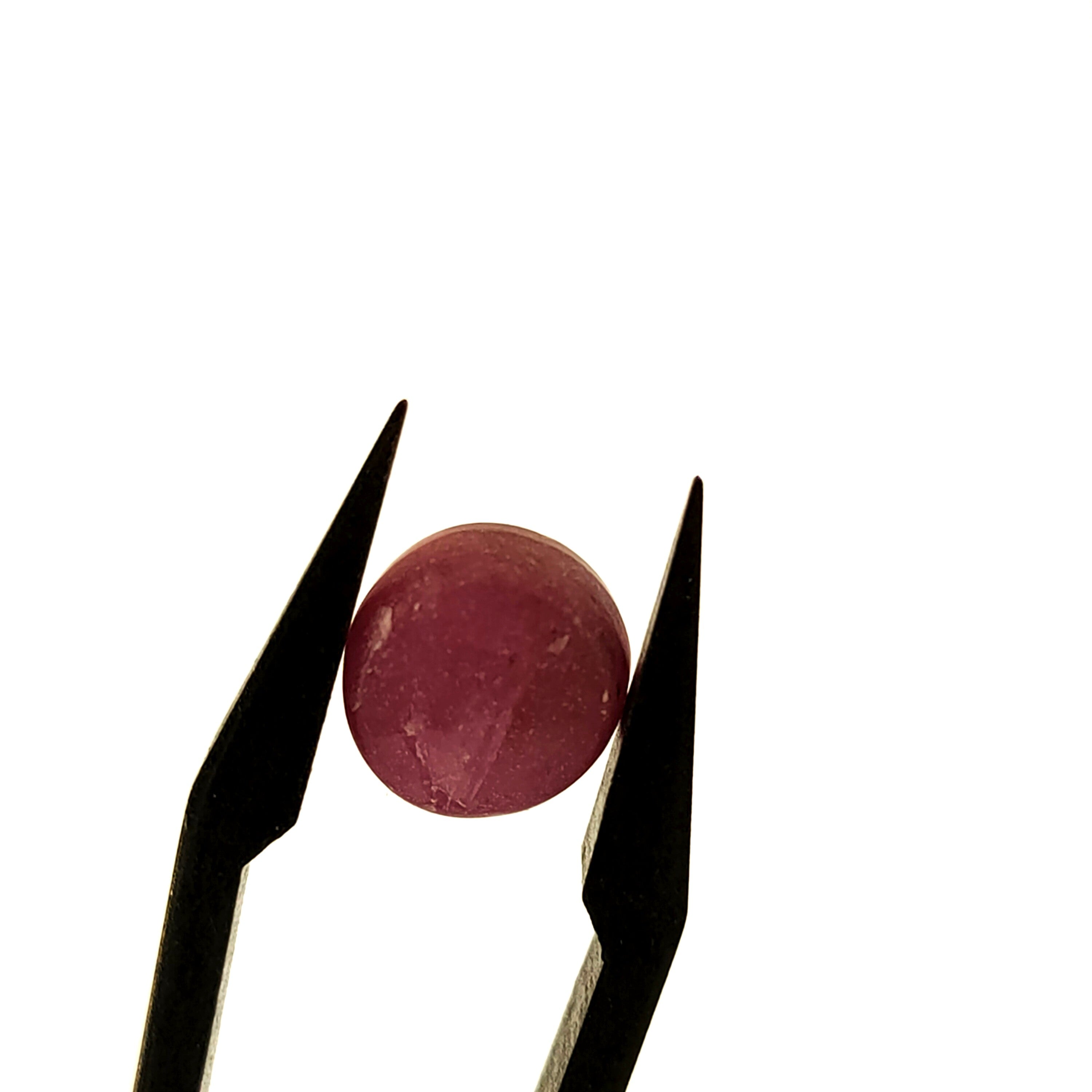 Robijn 9*5.4 | cab. rond| LE255