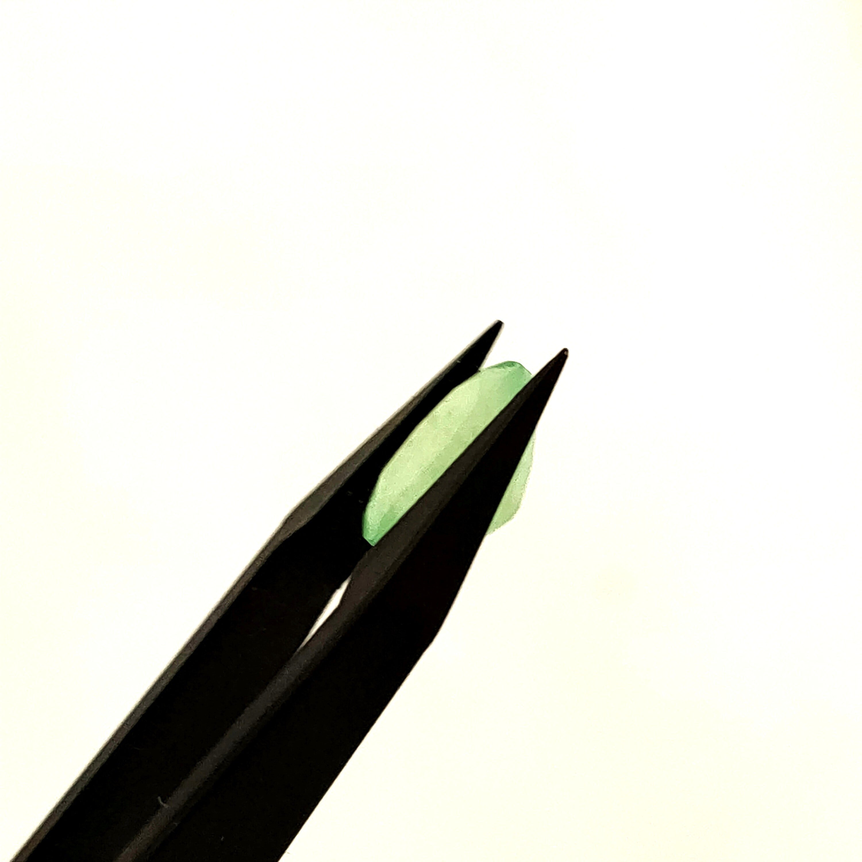 Chrysopraas | 7.8*10.8*5.8 | gef. Ovaal | LE445