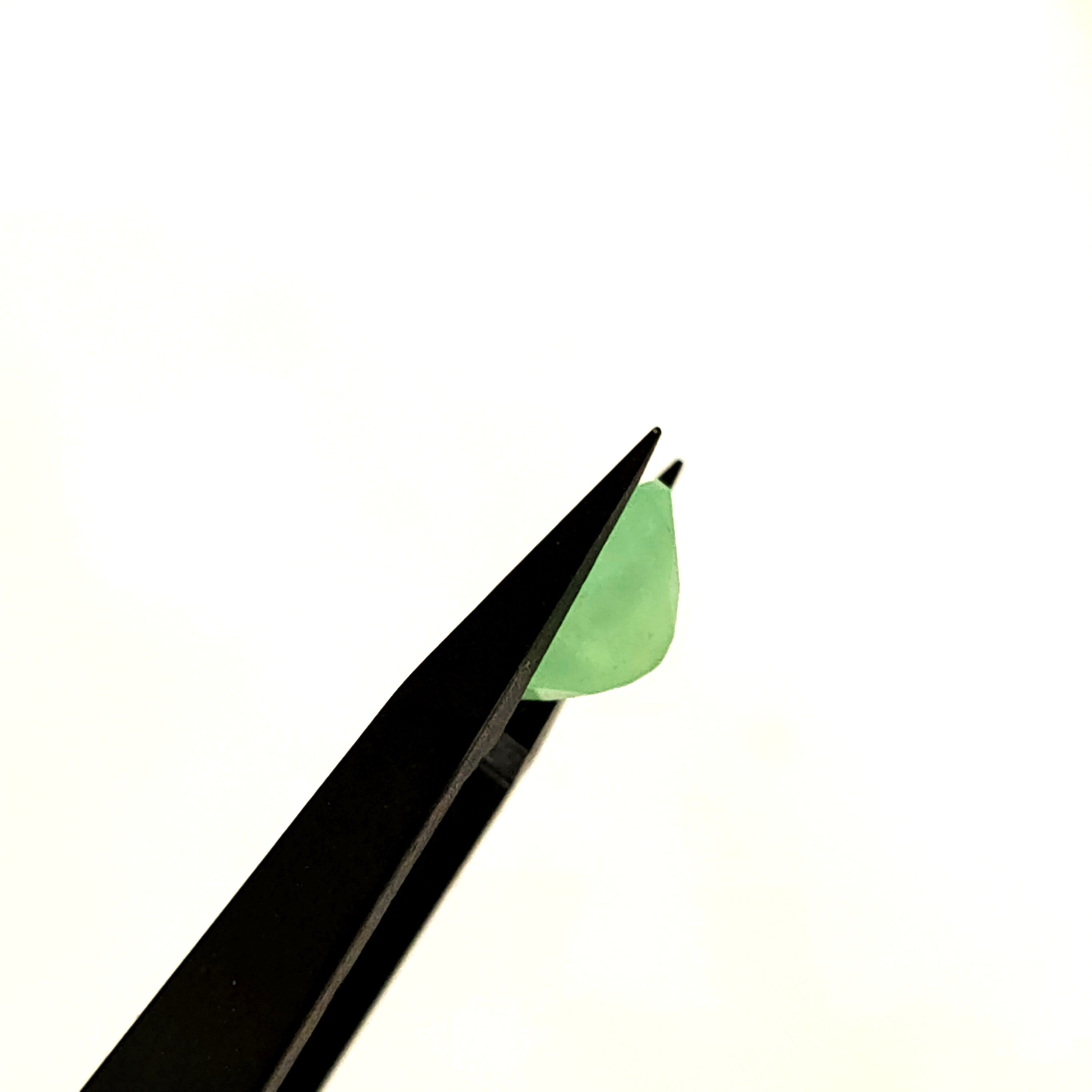 Chrysopraas | 7.8*10.8*5.8 | gef. Ovaal | LE445