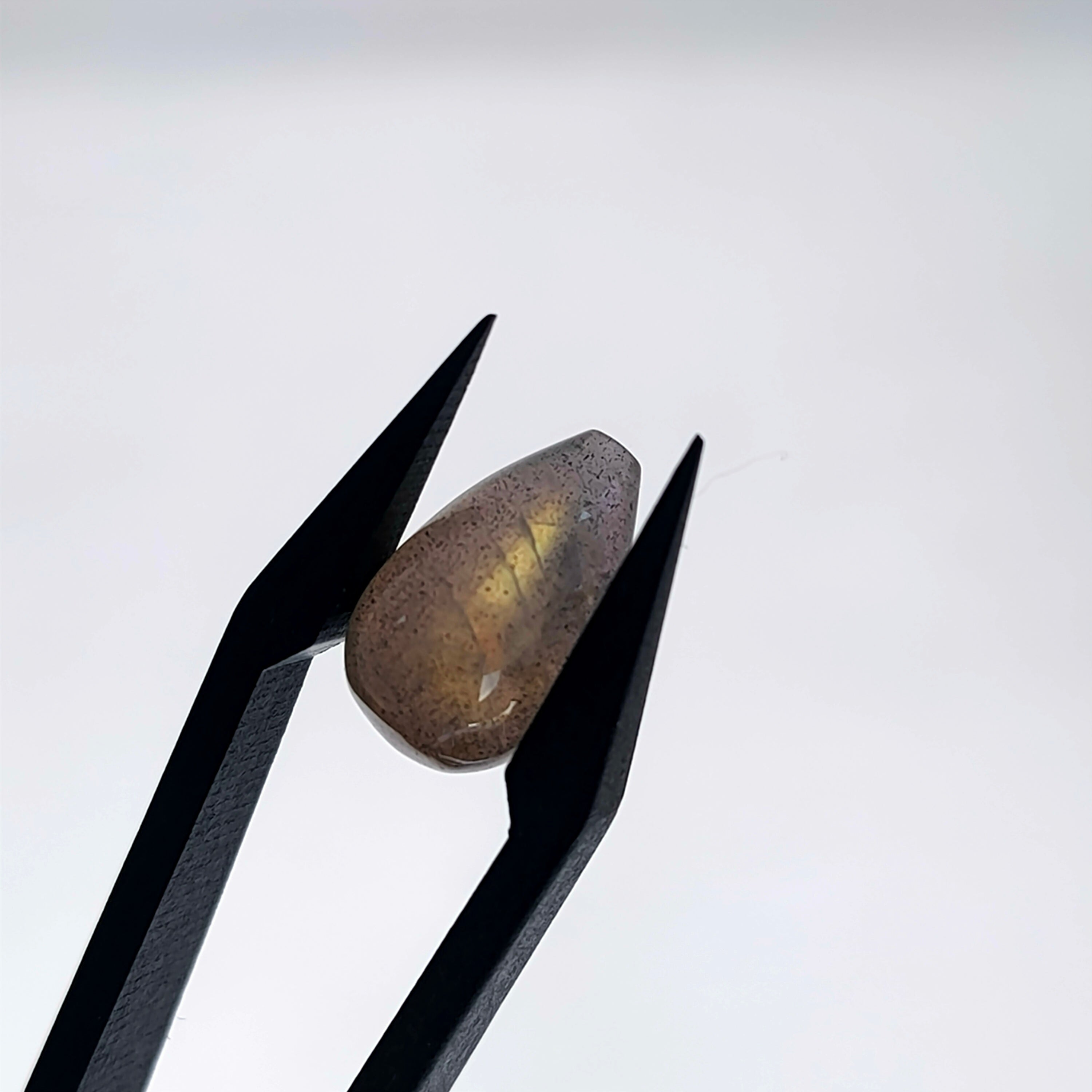 Labradoriet |  13x8 mm | druppel glad | LE605