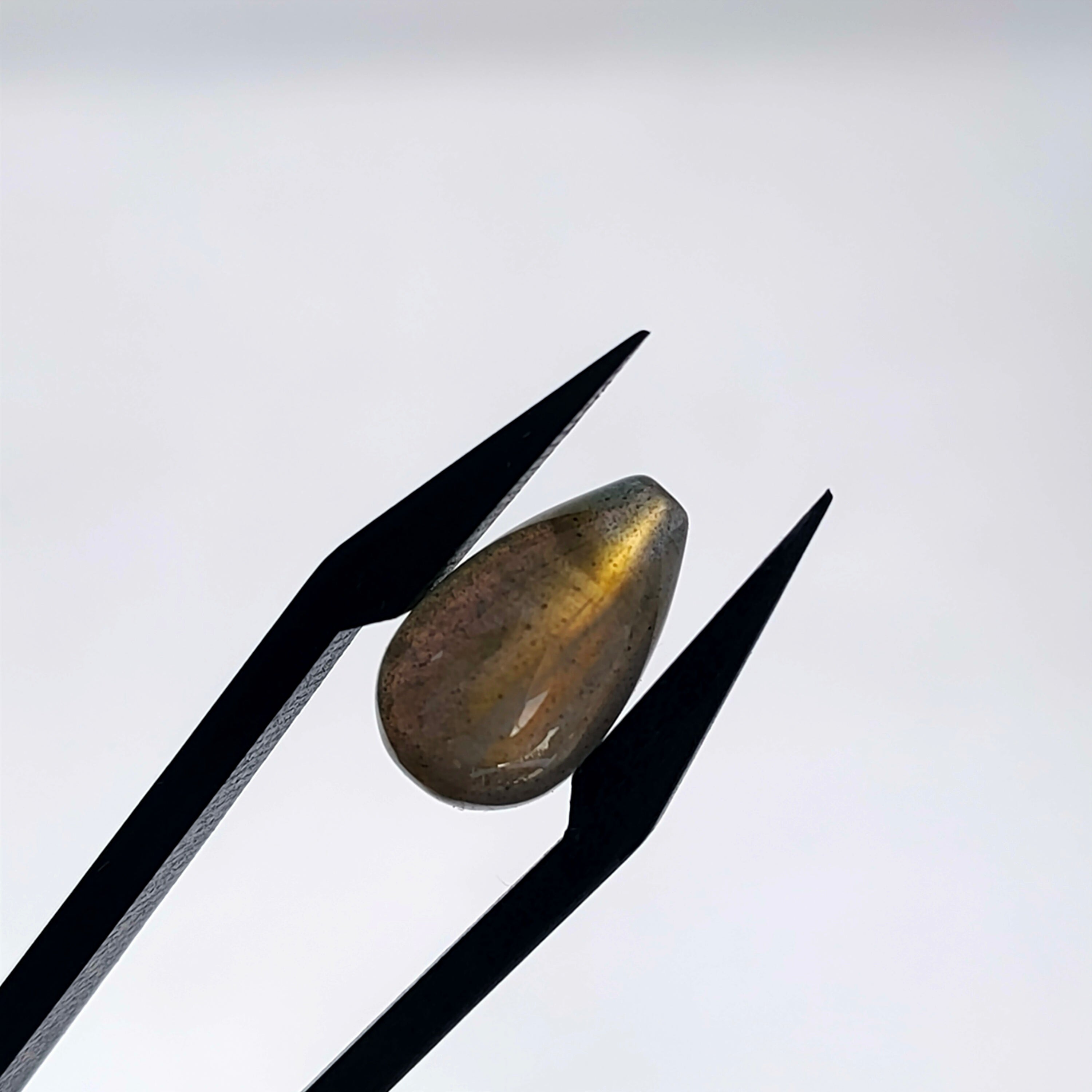 Labradoriet |  13x8 mm | druppel glad | LE605