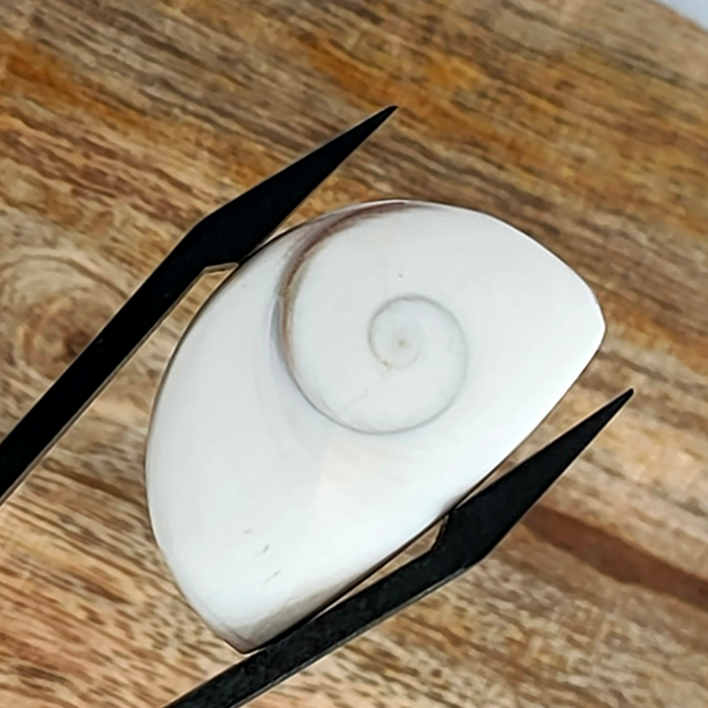 Shiva's Eye |  29.8x18.8x5.5 mm | freeform | LE0603
