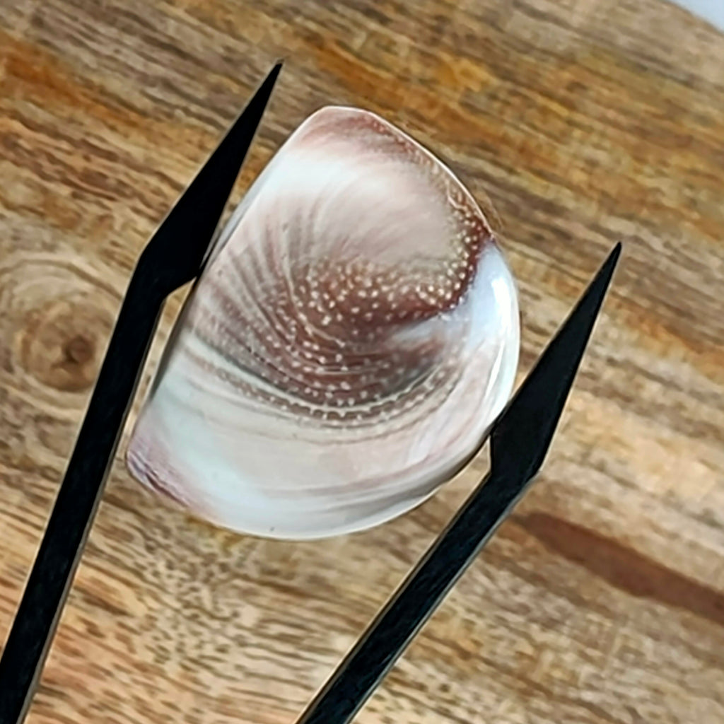 Shiva's Eye |  29.8x18.8x5.5 mm | freeform | LE0603