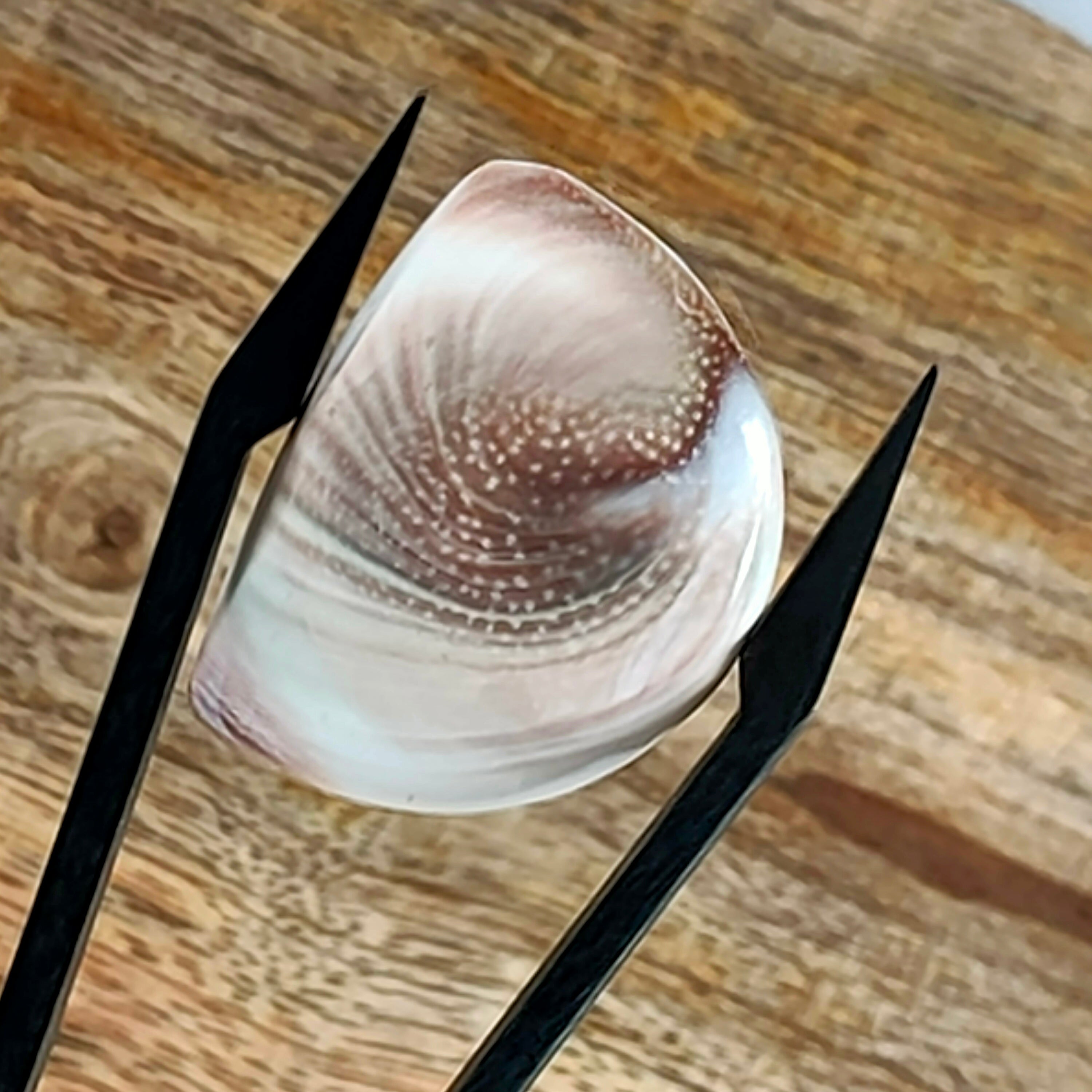 Shiva's Eye |  29.8x18.8x5.5 mm | freeform | LE0603