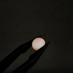 LE353 | Roze opaal 7.2*4.2 | cab. Rond