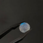 Maansteen 11x5 mm | cab. rond | LE609