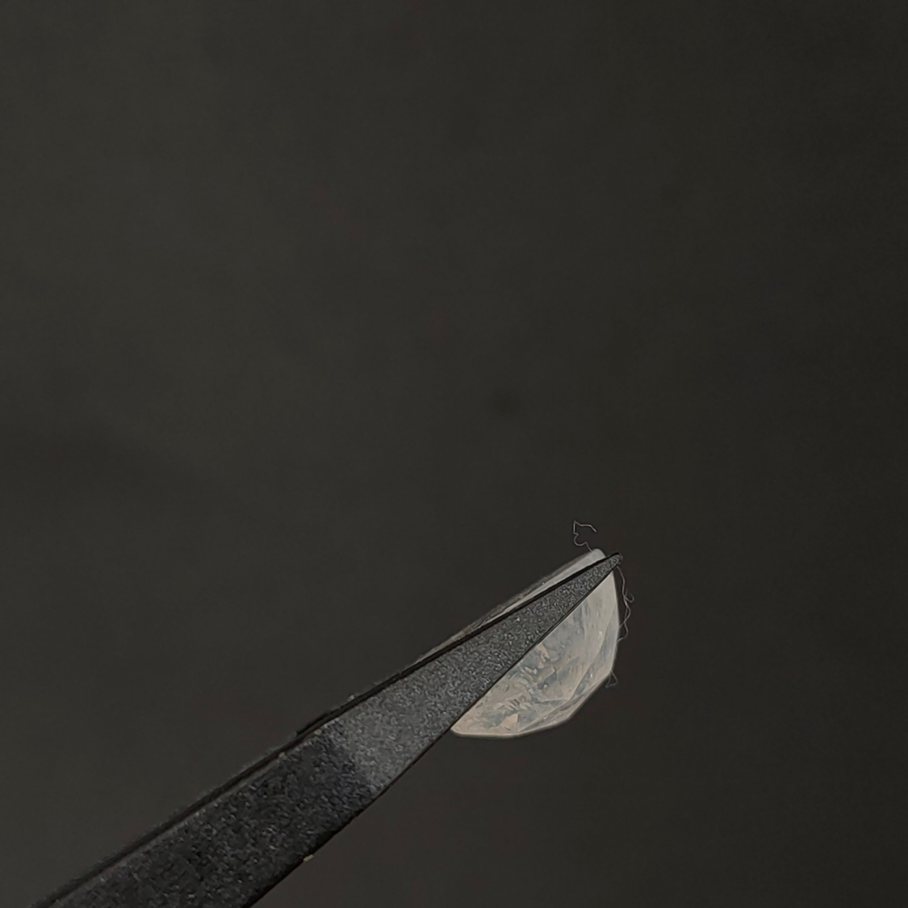 Maansteen 11x5 mm | cab. rond | LE609