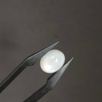 Maansteen 12x16x 6.8 mm | cab.  ovaal  | LE301