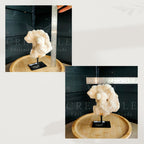 Witte calciet op standaard