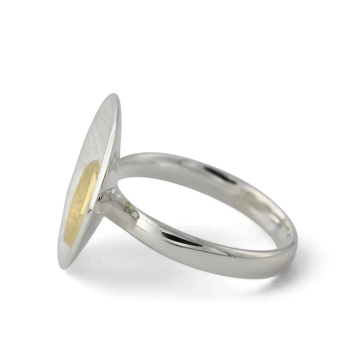 PRE ORDER - Zilveren en Vergulde Ring 'Double'